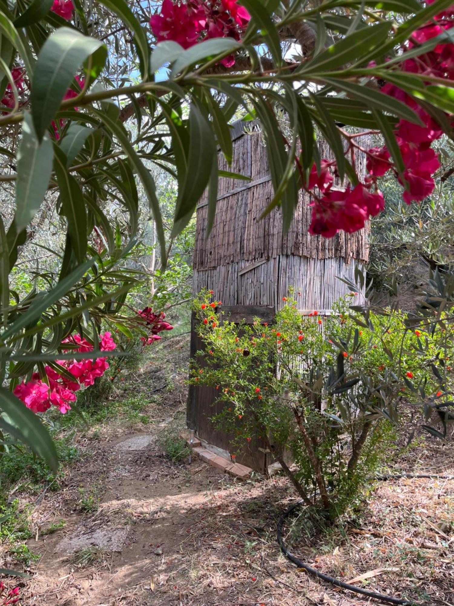 Cortijo Alhijra Big Yourte Lanjarón Εξωτερικό φωτογραφία